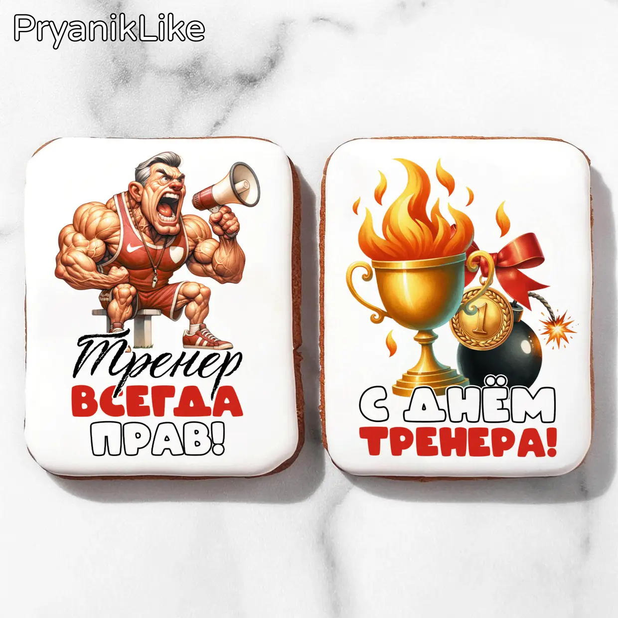 Огненный тренер (10)